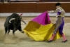 ¡Contraste! Aguascalientes declara corridas de toros y peleas de gallos como patrimonio cultural