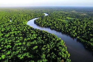 Alemania ofrece 35 millones de euros a brasil para proteger la Amazonia