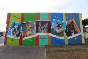 La nueva extensión permitirá atender con mayor capacidad y cercanía la problemática de animales en situación de calle