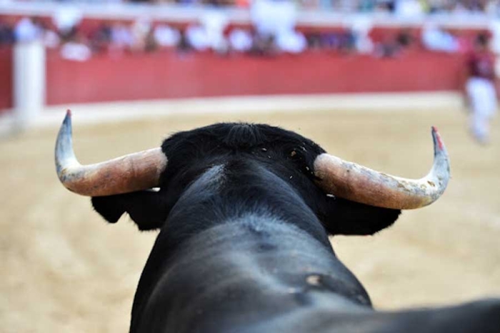 La suspensión prohíbe la realización de las corridas de todos en la Ciudad de México.