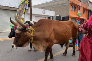 El próximo 30 de mayo se realizará el “Paseo de San Isidro” en Metepec