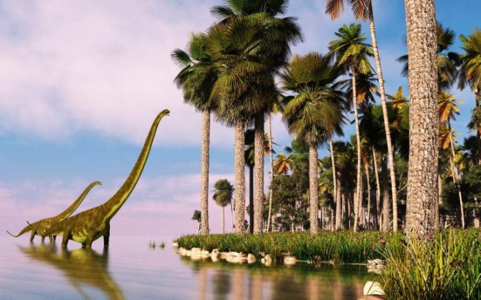 La denominada Encephalartos woodii, fue hallada en 1895 en el bosque Ngoye, mismo lugar donde se está llevando a cabo la investigación.