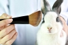 Senado de la República prohibe uso de animales para pruebas de cosméticos