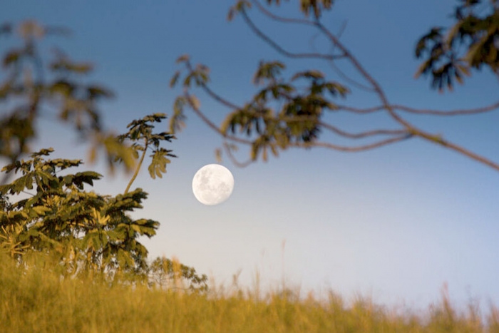 Por qué a veces se ve la luna en el día?