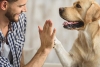 NatGeo transmitirá cápsulas sobre el cuidado de mascotas durante el mes de mayo