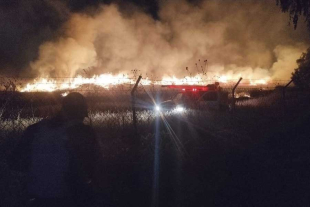 Ante el nulo registro de daños, la Zona Arqueológica de Teotihuacán permanecerá abierta al público