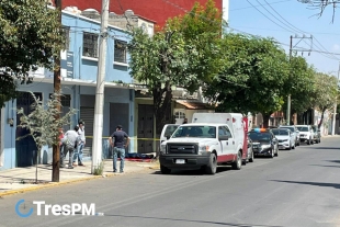 Muere hombre al caer de un árbol mientras lo podaba