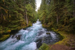 Nuevo estudio revela el papel clave del paisaje en las emisiones de metano de ríos y arroyos