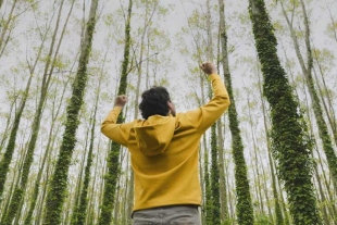 ¿Qué es el baño forestal y por qué lo necesito en mi vida?