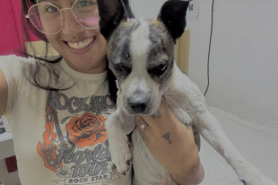 Tras esquivar una serie de mordidas por parte del ejemplar color negro con blanco, personal del Servicio Médico Forense logró llevarse el cuerpo