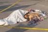El “Hachiko” chilango: perrito es captado cuidando a su dueño fallecido