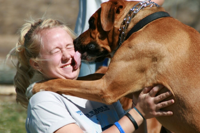 ¿Tu perro se te abalanza cuando llegas a casa? Te damos unos consejos para tu peludo