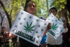Cannabis divide a Morena en el Senado