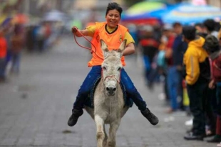 Tras pandemia, Ecuador volvió a organizar la carrera de burros más grande del mundo