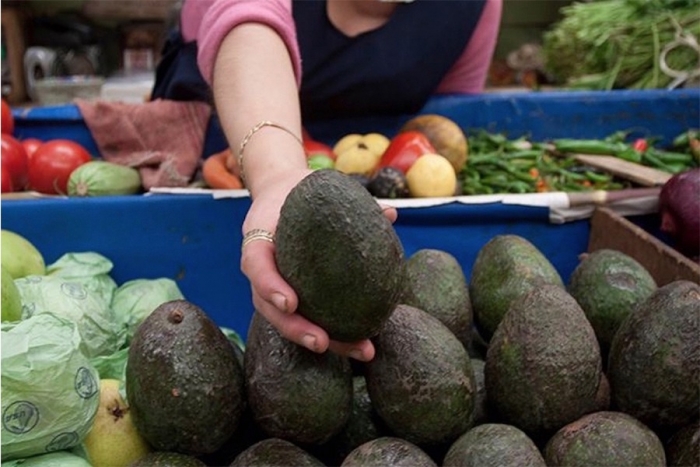 Baja el precio del aguacate en mercados locales