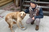 Un dron, una esperanza: En Nueva York, ex detective rescata a mascotas perdidas