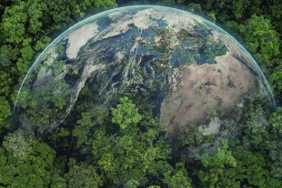Día de la Tierra: OMM publica su informe anual con inquietantes resultados