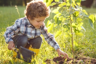 Vivir entre árboles ayuda a mejorar la salud mental de los niños: estudio