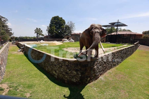 Reabre sus puestas el Zoológico de Zacango