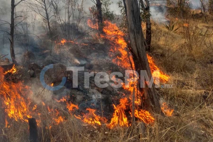 Cabe resaltar que durante los trabajos realizados el día martes, un elemento del cuerpo de Bomberos resultó lesionado