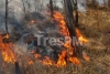 Se reaviva incendio en cerro de La Teresona