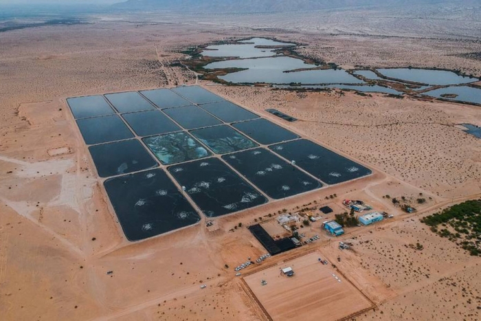 Las Arenitas, un humedal artificial que purifica el agua contaminada