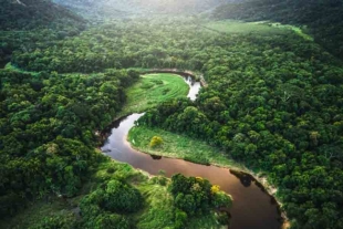 Corte suprema de Brasil ordena al gobierno reactivar el fondo Amazonia