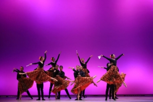 Danza lucha por reactivarse en 2021