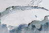 El iceberg más grande del mundo amenaza la flora y fauna de una isla en Georgia del Sur