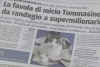 ¡Michi de la suerte! “Tomassino”, el gato que pasó de vivir en la calle a heredar una fortuna