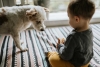 Niños con perros o gatos resultan menos propensos a sufrir alergias alimentarias: estudio