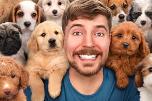 ¡Una más de MrBeast! Youtuber rescata a 100 perritos y los da en adopción
