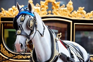 La contribución de los caballos a la historia y cultura británica se remonta a tiempos antiguos