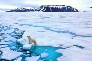 Esta agua de deshielo adicional acabaría llegando a la superficie de los glaciares. 