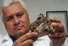 Nombran montaña en Marte 'Rafael Navarro' en honor al científico mexicano