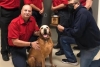 ¡HASTA SIEMPRE, HÉROE! Muere “Titán”, perro rescatista que participó en el sismo de 2017