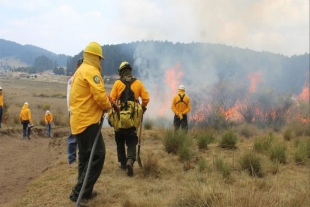 Se reduce el número de incendios forestales y de pastizales en el inicio de la temporada de calor