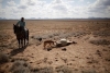 Arrecia sequía en el país