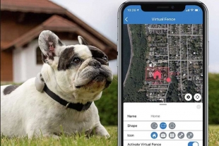 Collares GPS, opción para cuidar a tu peludo