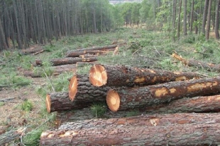 Propone PAN creación de fiscalía contra delitos ambientales en Edomex