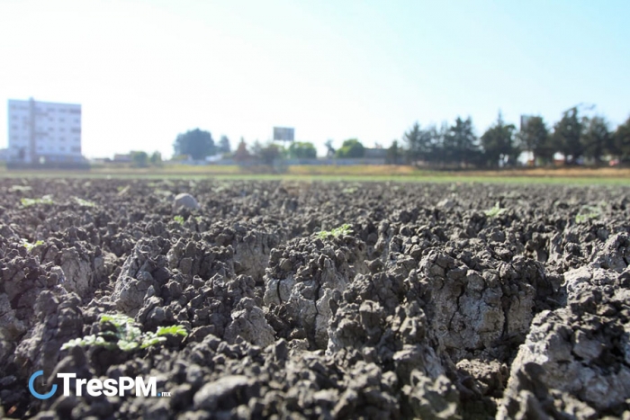 Laguna de Ojuelos en malas condiciones por deficiente desarrollo urbano