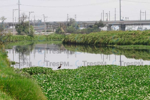 Previenen desbordamiento del río Lerma por basura y escombros