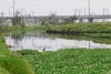 Previenen desbordamiento del río Lerma por basura y escombros