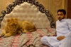 Hombre tiene un león de 80 kilos como mascota