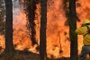 Fallecen dos combatientes forestales por incendio en Zacazonapan