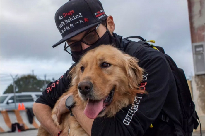 Los Ángeles se convierte en un paraíso para mascotas rescatadas