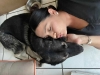 ¡Master of Pet´s! Perrita escapa de su casa y termina en un concierto de Metallica