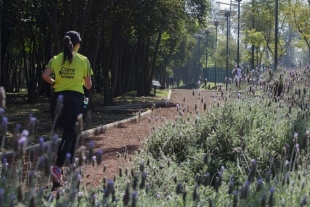 Reabren Bosque de Chapultepec