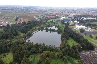 La flora del lugar, también se ha visto beneficiada