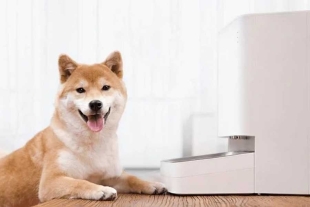 ¡Al fin! Xiaomi pone a la venta sus primeros productos para mascotas a nivel mundial